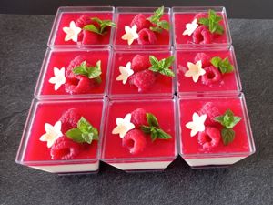 Panna cotta s malinami